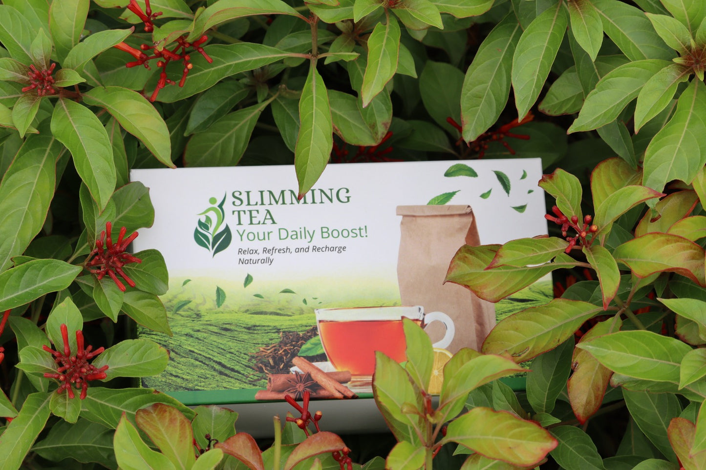 Fitnes Buddy Slimming Tea